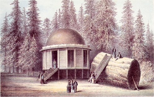  House on Stump of Big Tree (Calaveras Grove)