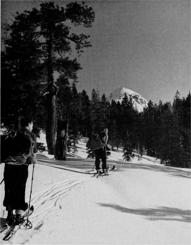 Ski Mountaineering Party near Mount Starr King. By D. R. Brower