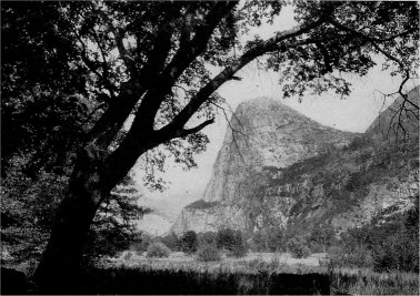 Hetch Hetchy Valley before Inundation. By J. N. LeConte