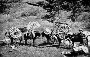 How the First Wagon was Brought to Yosemite