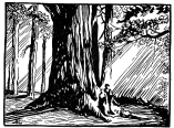 Woodcut from the first edition (1931)