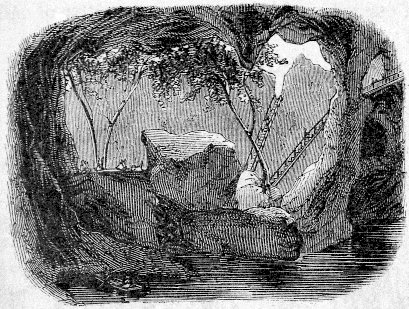 BOWER CAVE.