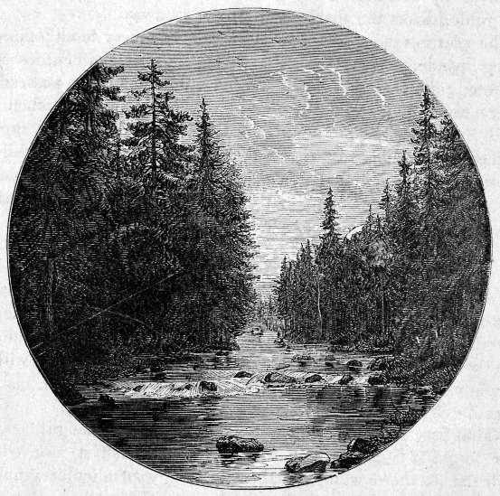 RIVER SCENE IN THE YO-SEMITE VALLEY, NEAR THE FOOT OF THE TRAIL. From a Photograph by C. L. Weed.