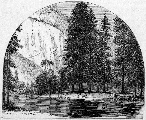 THE FERRY. From a Photograph by C. L. Weed.
