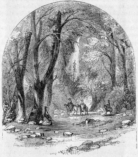 THE FORD OF THE YO-SEMITE. From a Photograph by C. L. Weed.
