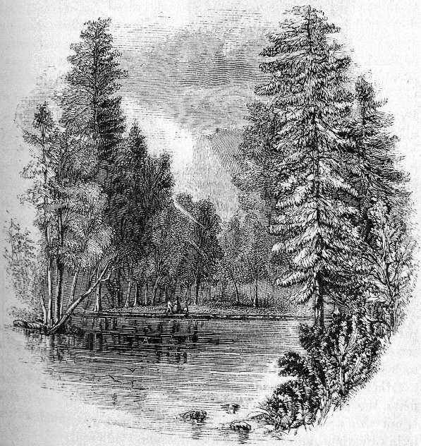 RIVER SCENE JUST BELOW THE BRIDGE, LOOKING EAST. From a Photograph by C. L. Weed.