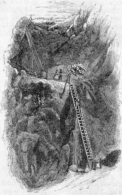 THE LADDERS.