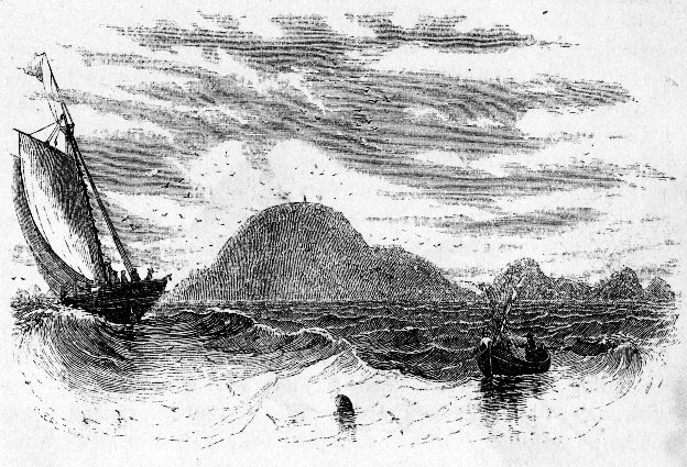 SOUTH-EAST VIEW OF THE FARALLONE ISLANDS.