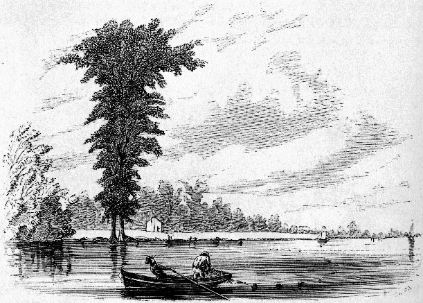 SALMON FISHING, PAYING OUT THE SEINE.