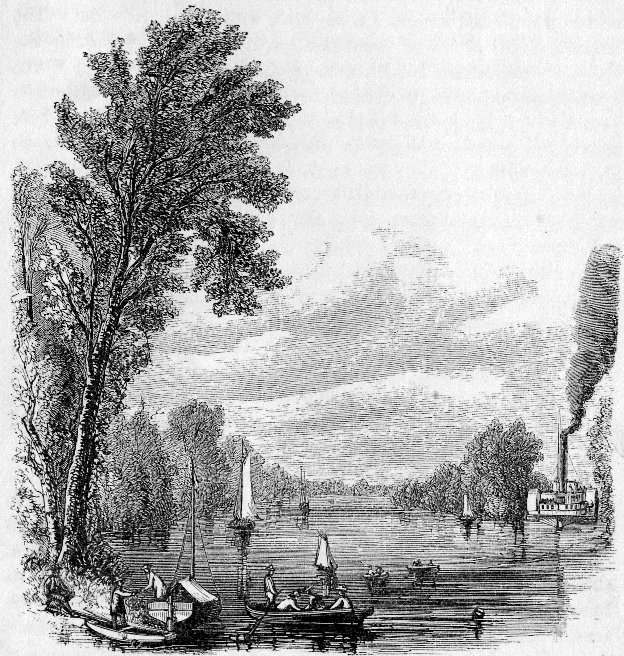 SCENE AT THE UPPER MAIN JUNCTION OF SACRAMENTO AND STEAMBOAT SLOUGHS.