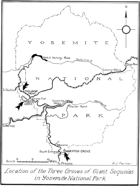 Map: Location of the Three Groves of Giant Sequoias in Yosemite National Park