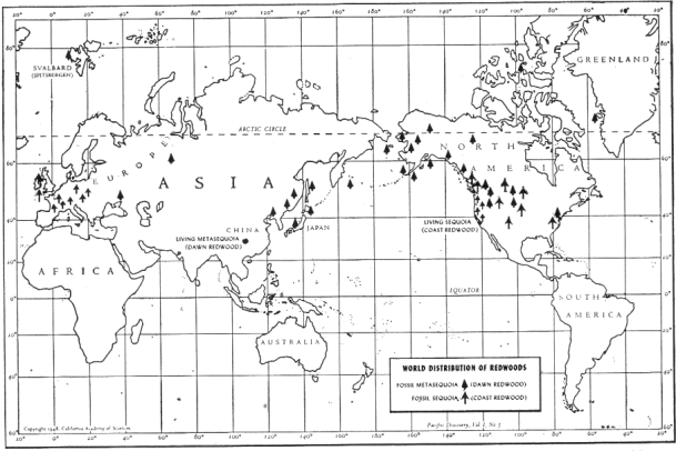 World Distribution of Redwoods