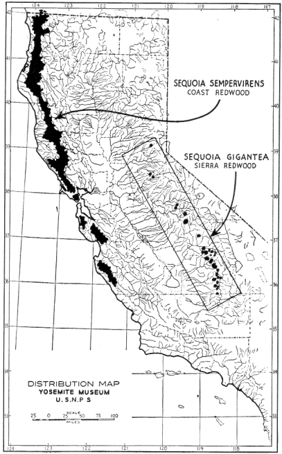 Distribution Map of Giant Sequoias (Yosemite Museum, U.S.N.P.S.)