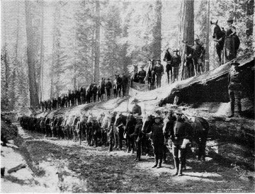 The Fallen Monarch and Troop F, Sixth Cavalry.  Courtesy Southern Pacific Railway.