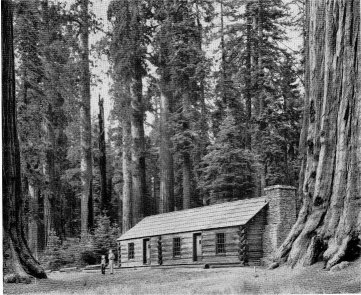 The Mariposa Grove Museum