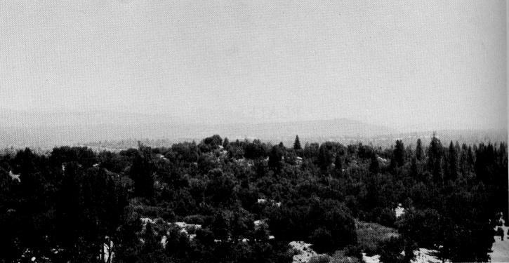 Characteristic terrain and vegetation near Mariposa