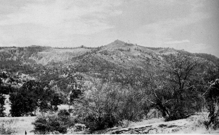 Characteristic terrain and vegetation near Usona.