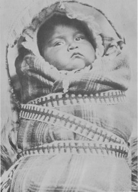 Piute Papoose,
Yosemite Valley