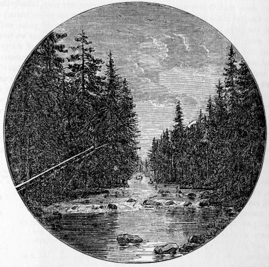 RIVER SCENE IN THE YO-SEMITE VALLEY, NEAR THE FOOT OF THE TRAIL. From a Photograph by C. L. Weed.