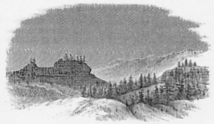 Fig. 8. FORT HILL,—NEAR RAILROAD FLAT.