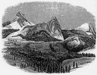 Fig. 12. GLACIER-POLISHED ROCKS, UPPER TUOLUMNE VALLEY.