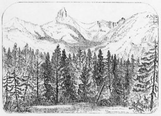 Fig. 19. MOUNT KING, LOOKING EAST, FROM CAMP 180.