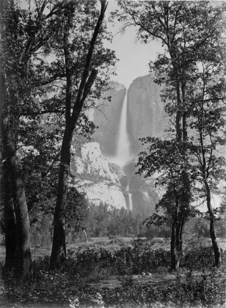 THE YOSEMITE FALLS.