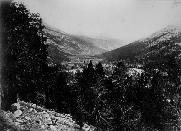 VALLEY OF Mt. LYELL, Fork of the Upper Tuolumne.