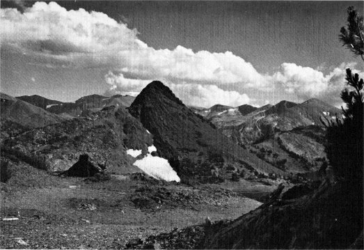 Great Sierra Mine Cabin, Tioga Hill