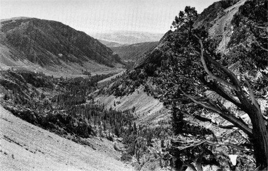 Lee Vining Canyon and the Lee Vining grade, looking toward Mono Craters