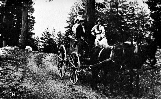 On the Tioga Road. about 1890