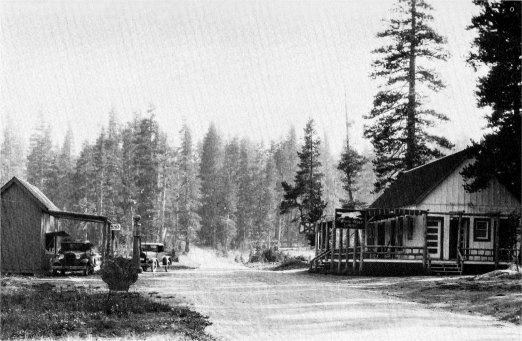 White Wolf, 1931
