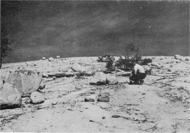 Glacial polish and erratic boulders show that in post ages, Lembert Dome was overridden by glaciers. McCrary, NPS