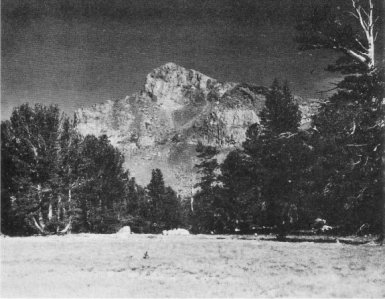 The Lying Head above Tioga Pass. McCrary, NPS
