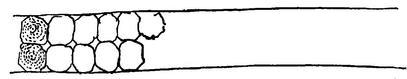 diagram of sluice bottom