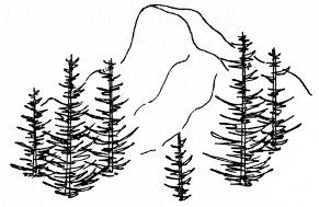 Drawing of Half Dome