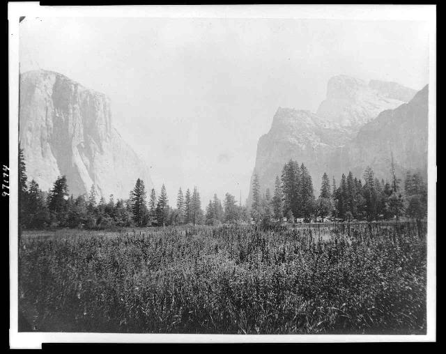 Field and mountains, including Half Dome, Yosemite
