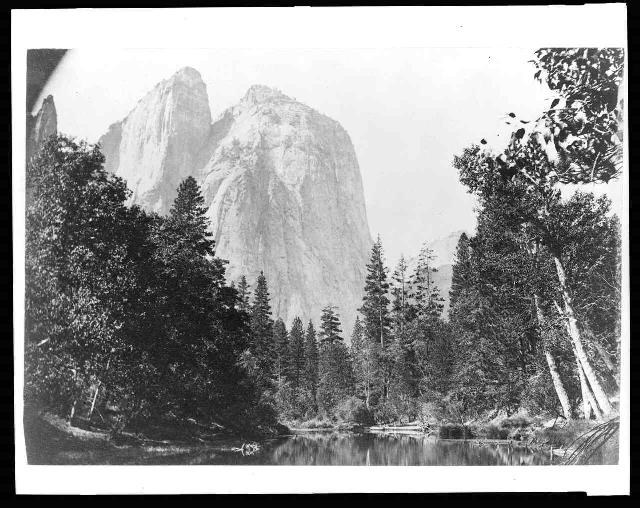 Stream and trees with Cathedral Rock  in background, Yosemite