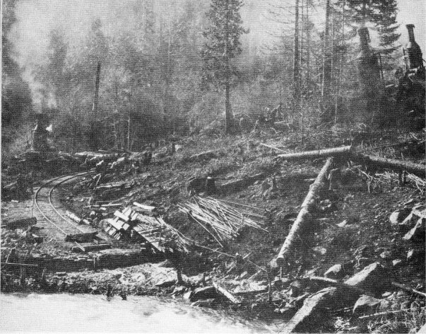 Logging Operations Near Wawona — Note “Donkey” Engines