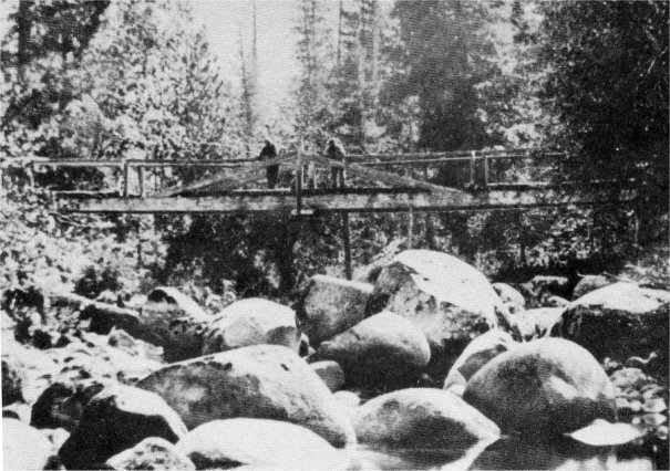 The Original Wawona Bridge — Photo Taken in 1866
