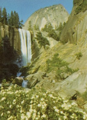 Vernal Fall. Western Azaleas blossom in foreground.