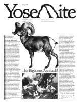 Cover, Yosemite, Spring 1986