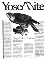 Cover, Yosemite, Summer 1986