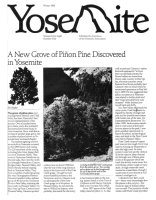 Cover, Yosemite, Winter 1986