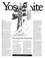 Cover, Yosemite, Summer 1987