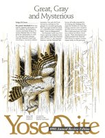 Cover, Yosemite, Spring 1991