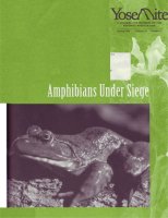 Cover, Yosemite, Spring 1996