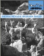 Cover, Winter 2005