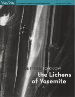 Cover, Yosemite, Winter 2009