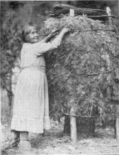 Chuck-ah, used for acorn storage. Photo by C. A. Harwell